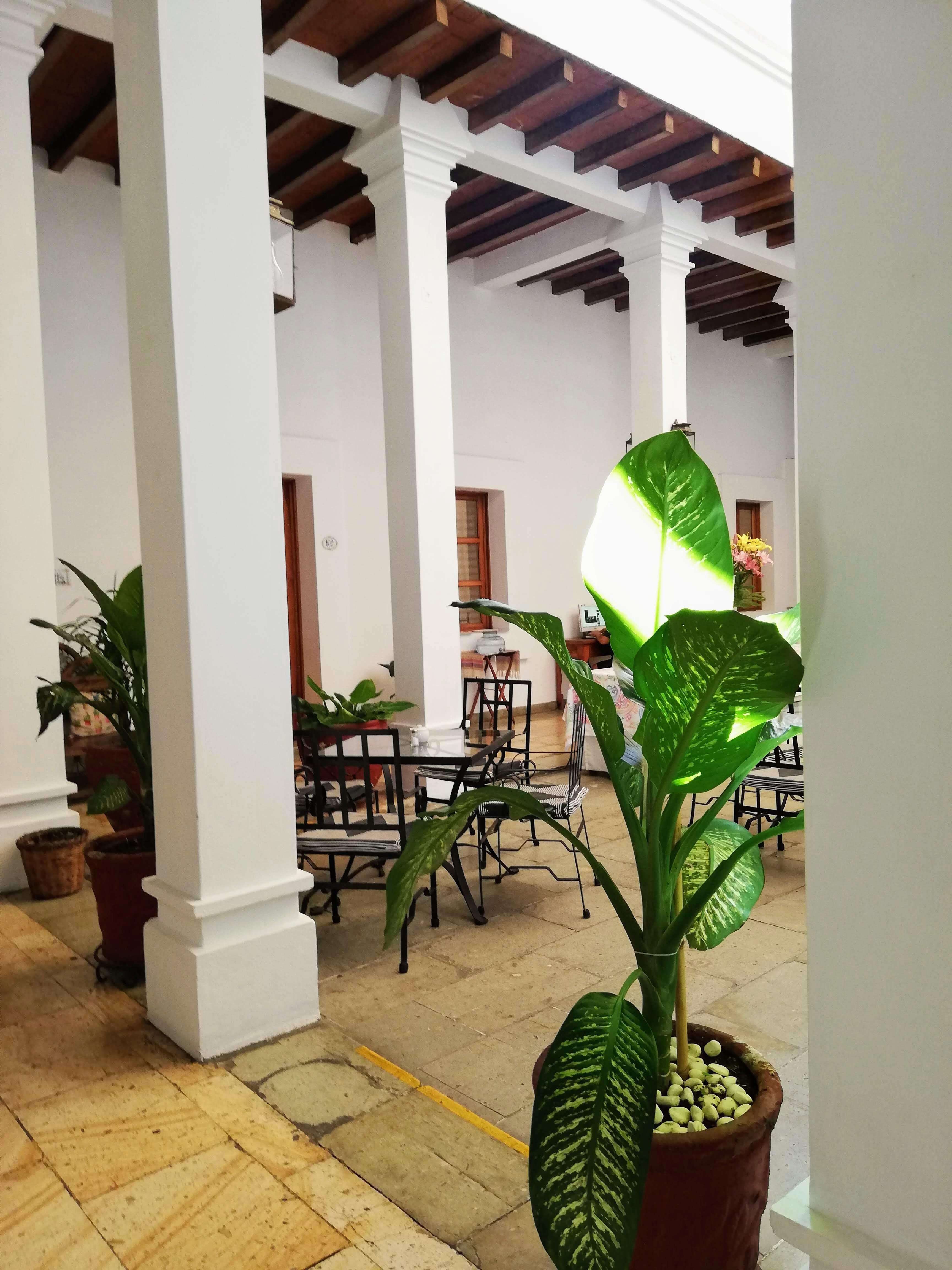 Hotel Aitana Oaxaca Exterior foto